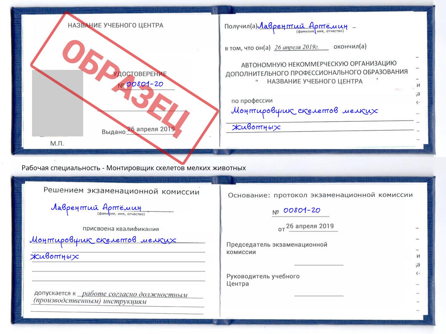 Монтировщик скелетов мелких животных Калуга