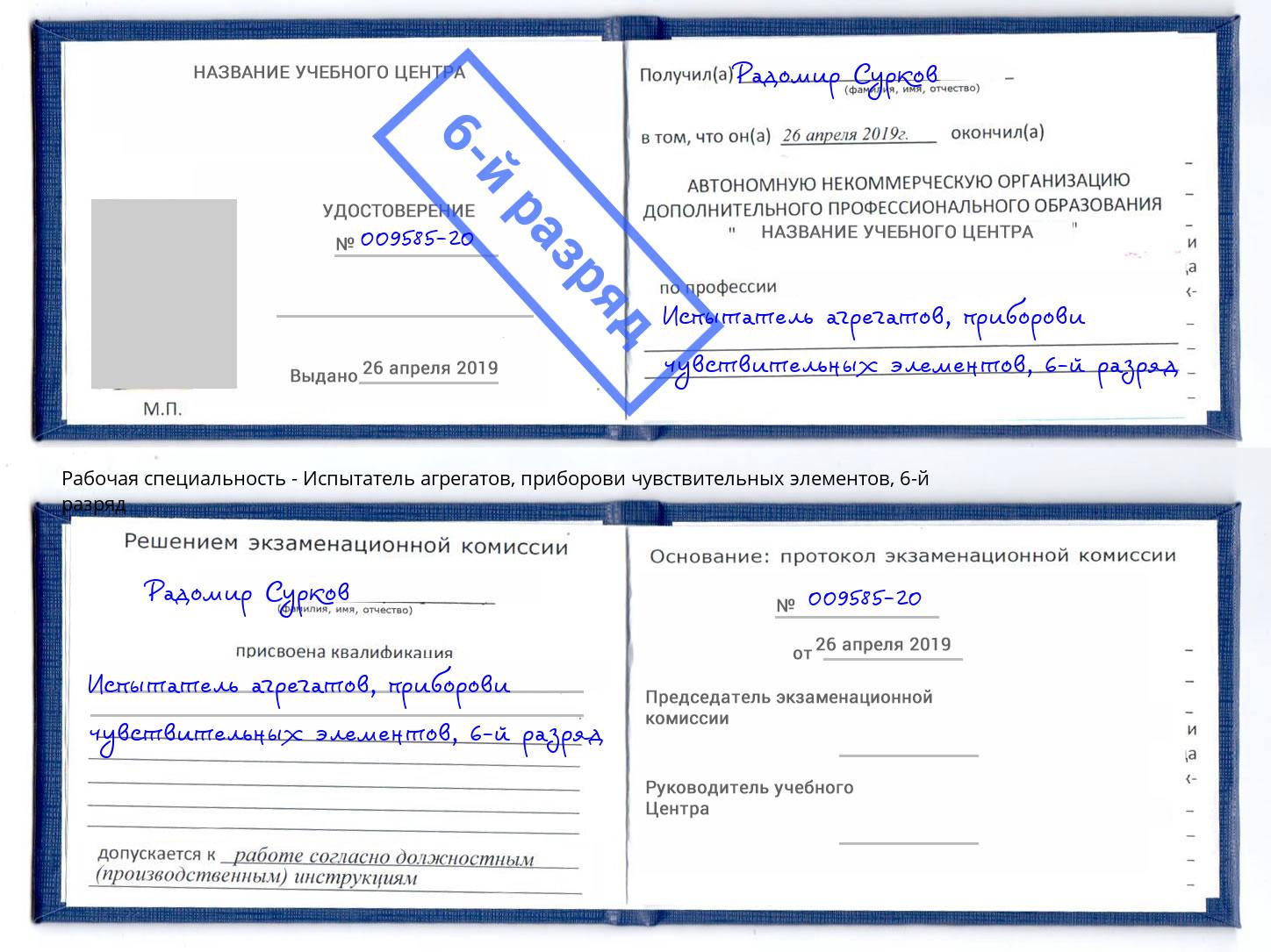 корочка 6-й разряд Испытатель агрегатов, приборови чувствительных элементов Калуга