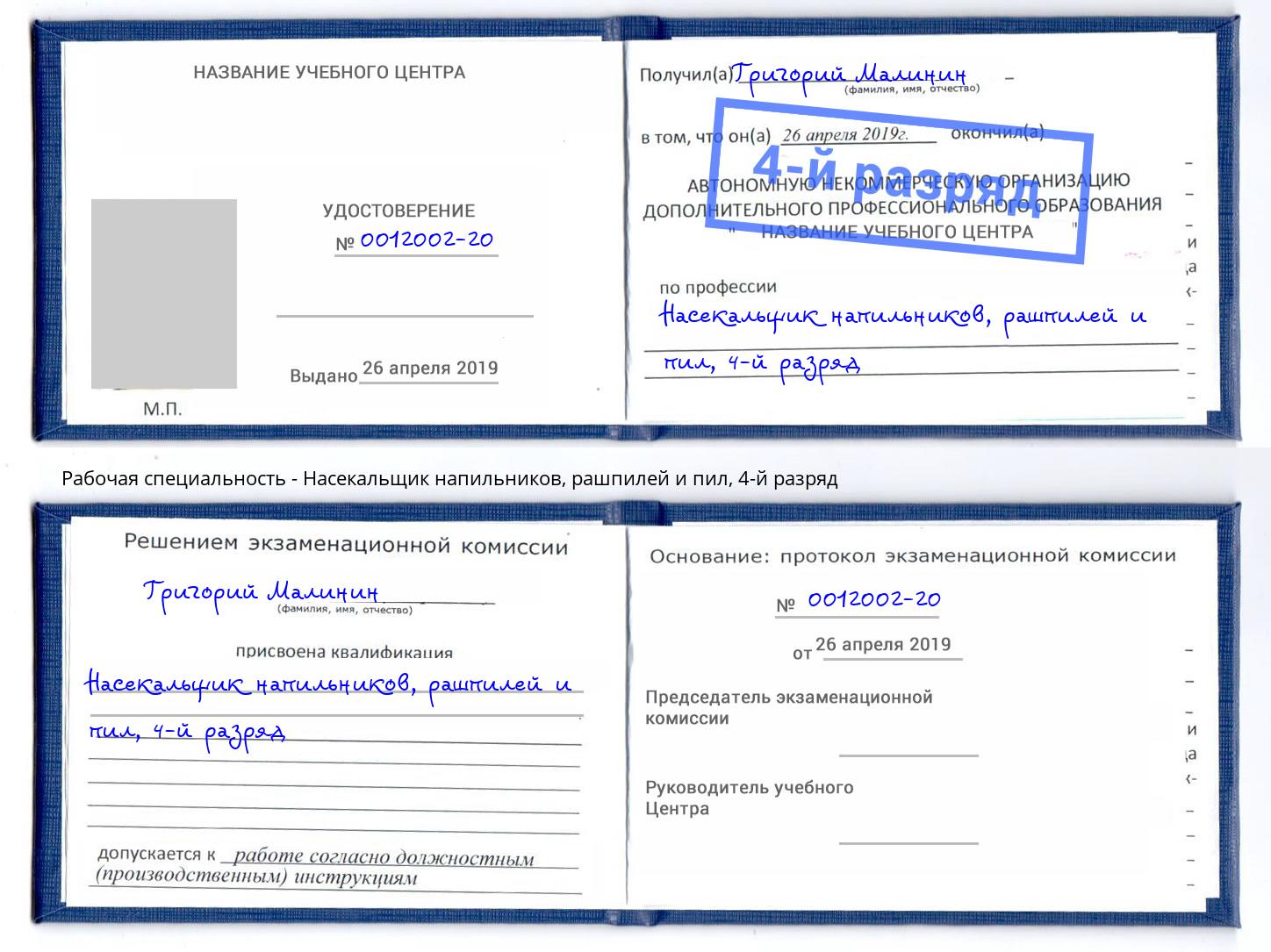 корочка 4-й разряд Насекальщик напильников, рашпилей и пил Калуга