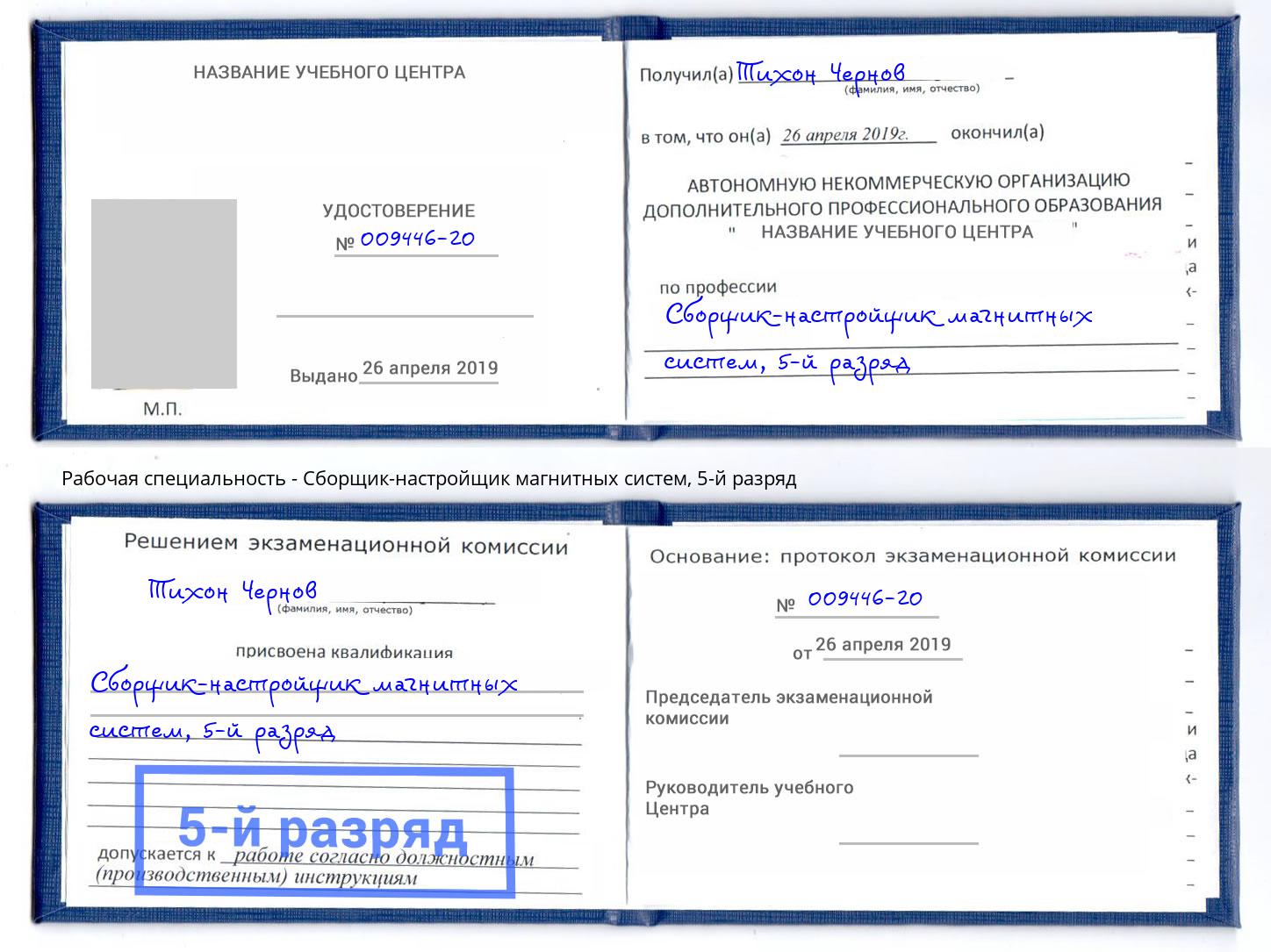 корочка 5-й разряд Сборщик-настройщик магнитных систем Калуга